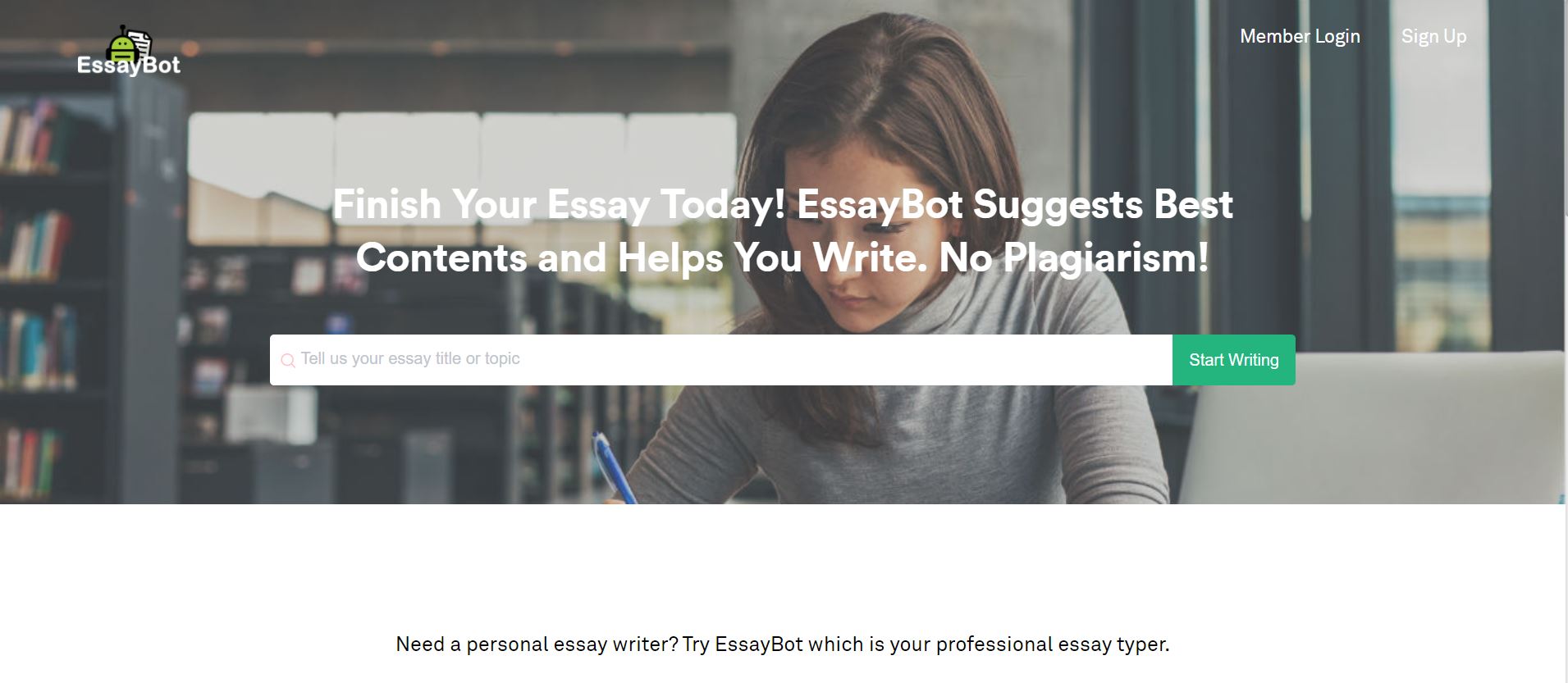 essay bot review