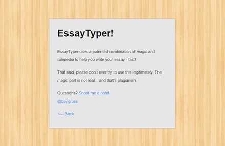 essay typer