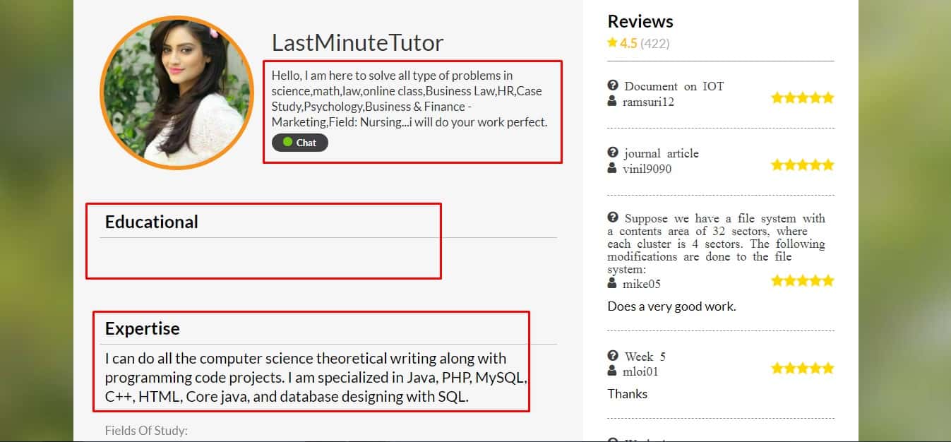 homeworkmarket review